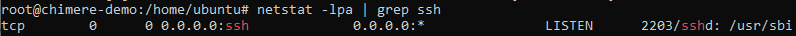 Ssh_listening.PNG