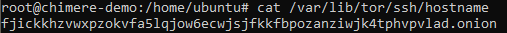 Ssh_onion_address.PNG
